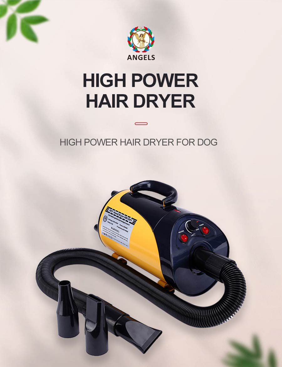 high powered blow dryer for dogs